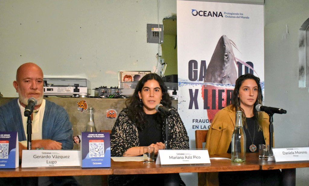 Oceana alerta sobre necesidad de conocer origen del pescado para consumo y combatir la pesca ilegal