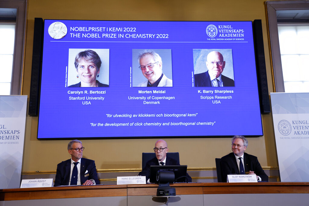 El Nobel de Química premia la combinación de moléculas