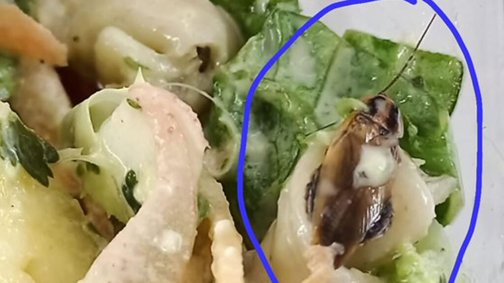 ensalada green gras con cucaracha