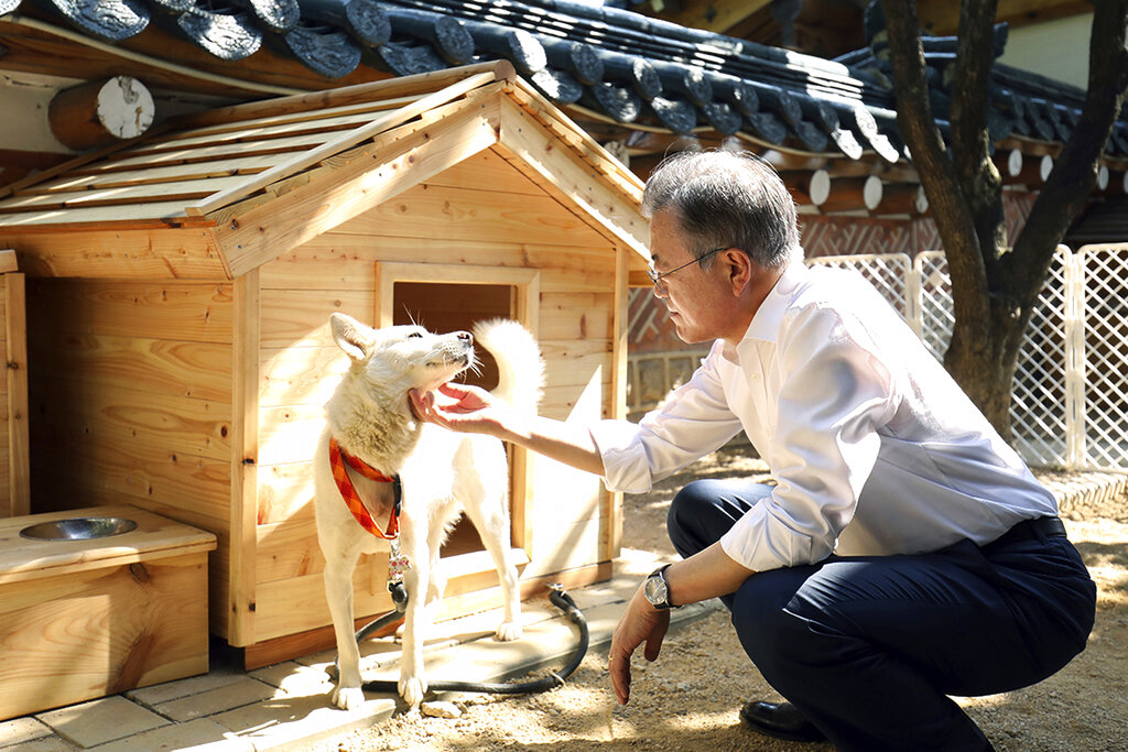 Perros regalados por Kim objeto de riña política surcoreana
