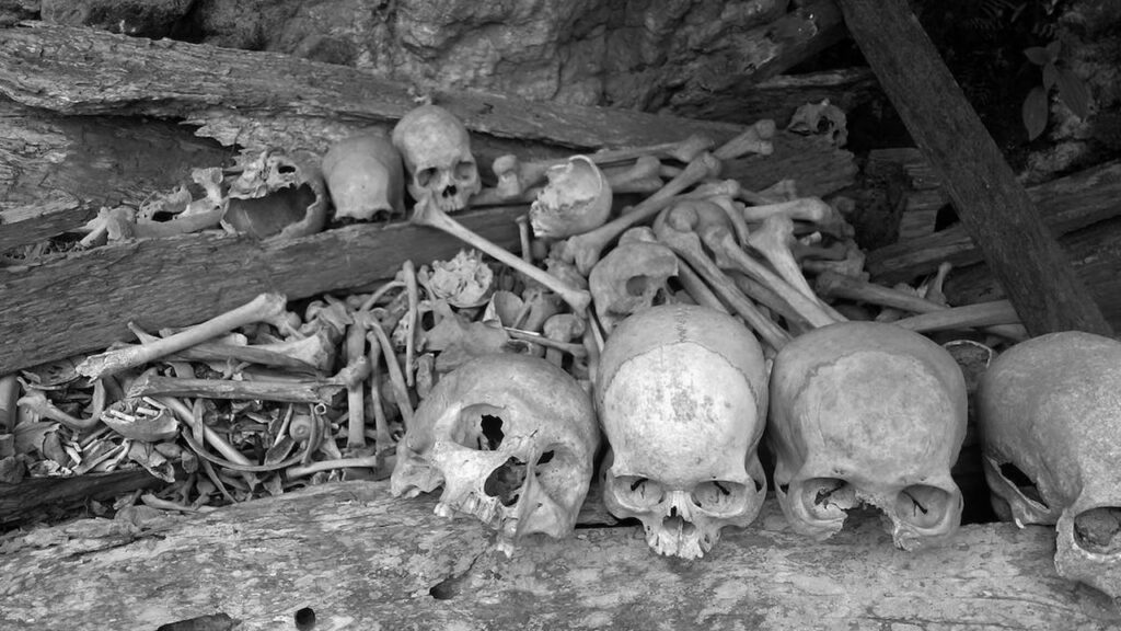 Advierten senadores que, en el mercado negro, un esqueleto humano se vende hasta en 35 mil pesos