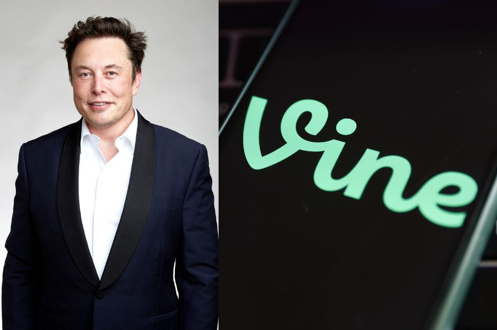 Elon Musk planea revivir Vine para competir contra TikTok
