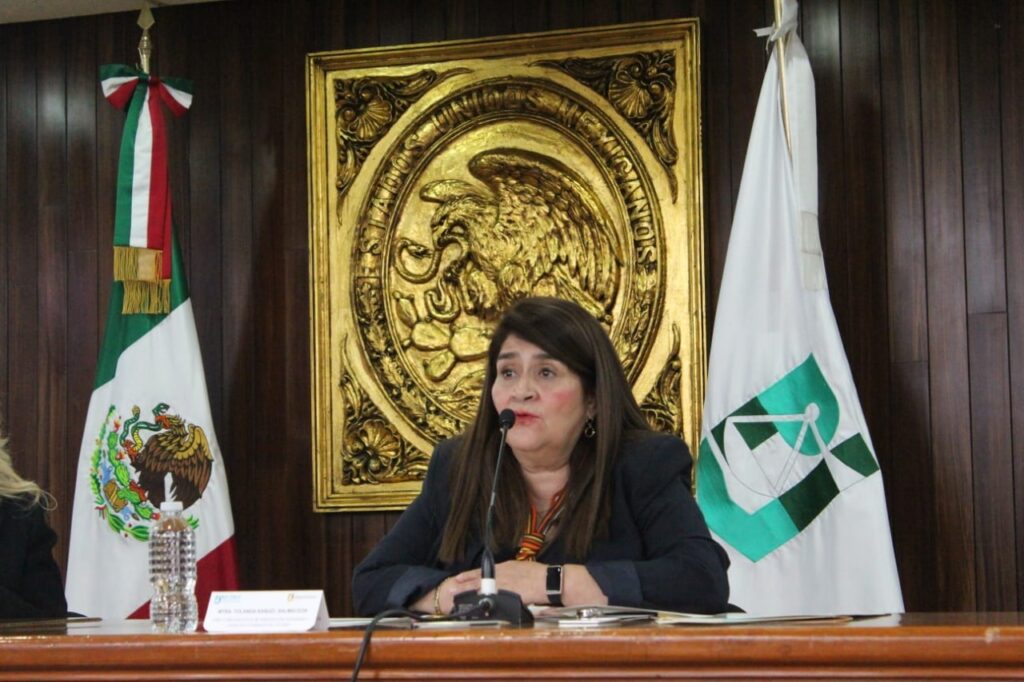 Foto Yolanda Rangel Balmaceda, Directora Ejecutiva de Orientación Ciudadana y Derechos Humanos