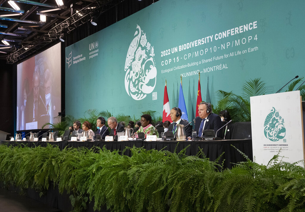 Conferencia ONU logra un acuerdo histórico de biodiversidad
