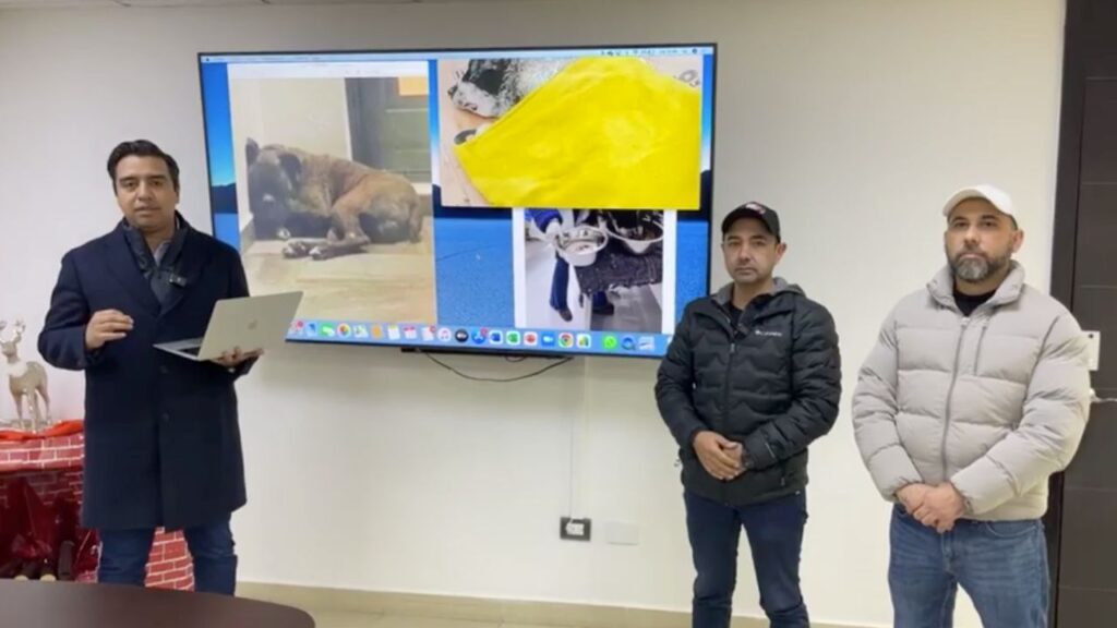 Gobierno de Santa Catarina arremete contra dueños de mascotas por no protegerlos del frío