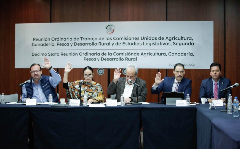 Exhortan senadores al Gobierno federal estabilice precio de la tortilla