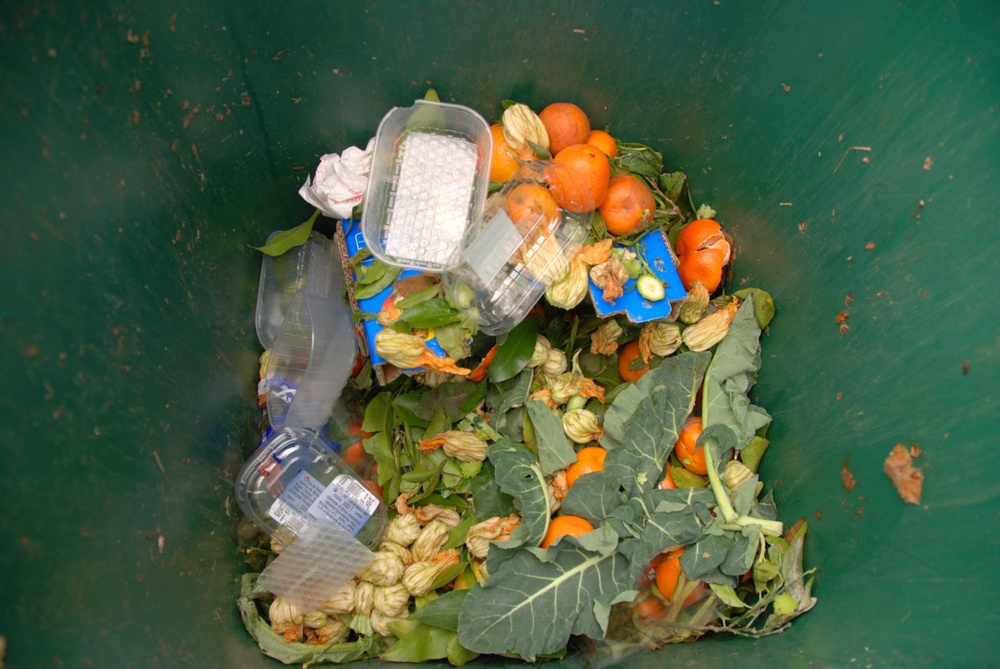 Senadores promueven aprovechar residuos alimenticios seguros para consumo humano