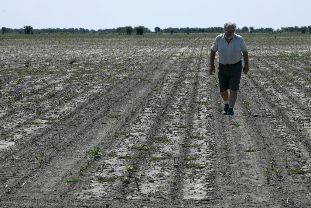 Argentina: crece malestar de productores por larga sequía