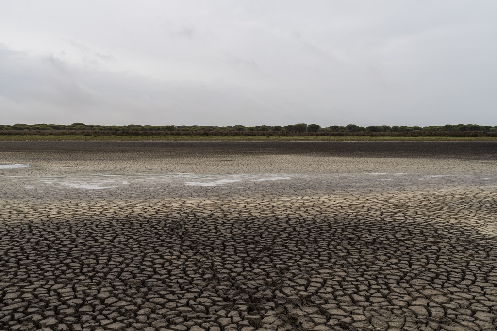 Sequía vacía reservas de agua en noreste de España
