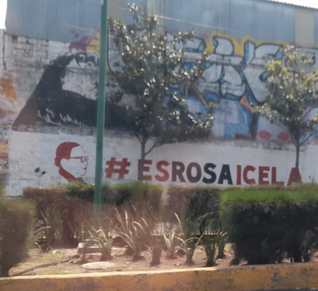 "Es Rosa Icela": hacen campaña por secretaria de Seguridad con slogan de Sheinbaum