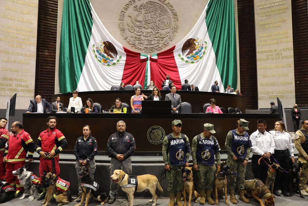 Aprueban diputados celebrar los 15 de noviembre Día Nacional del Binomio Canino de Salvamento