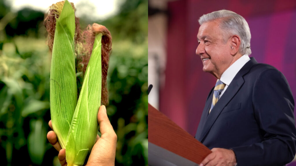 AMLO amenaza con imponer aranceles al maíz blanco de EUA