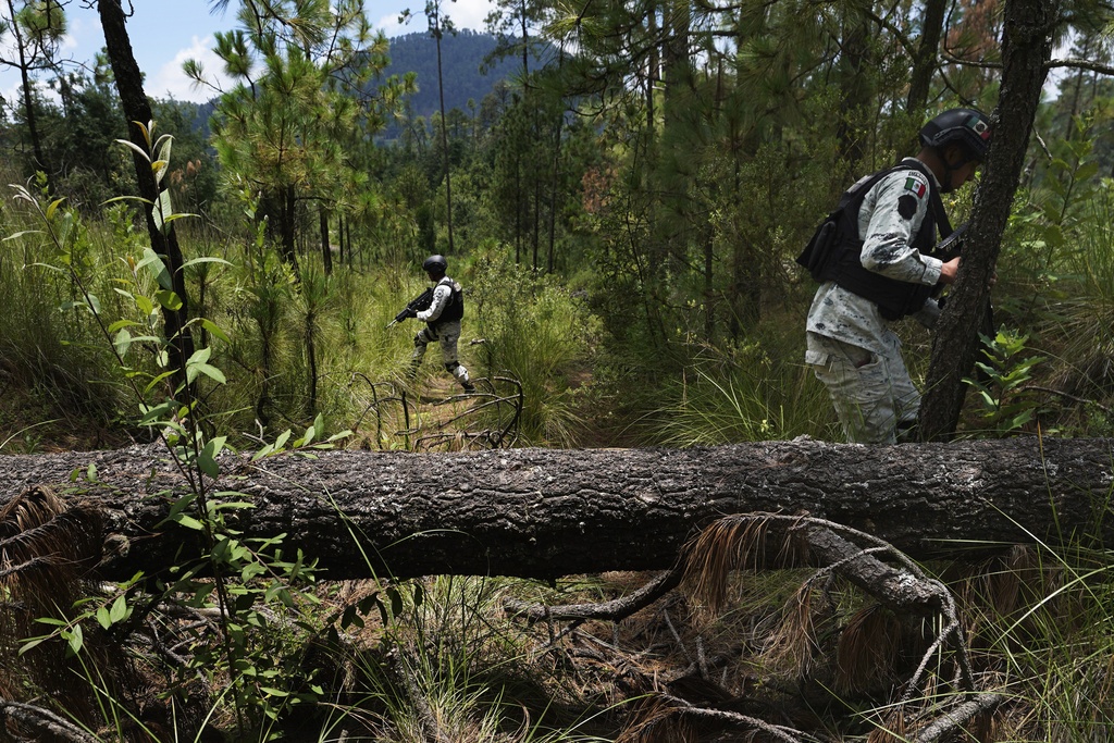 La tala acecha los bosques de CDMX pese a intentos por reforestarlos