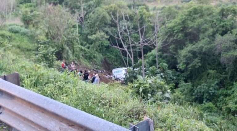 17 muertos y 22 heridos al caer autobús por un barranco en Nayarit