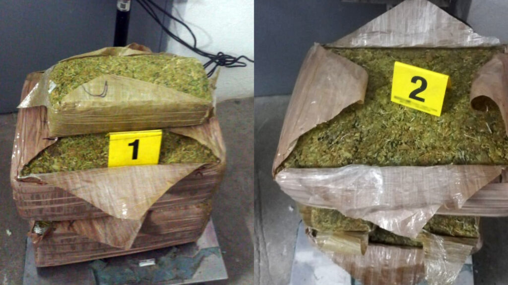 73 kilos de marihuana fueron asegurados en SLP