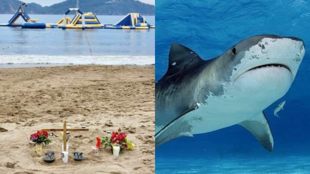 Muere mujer por ataque de tiburón en Jalisco
