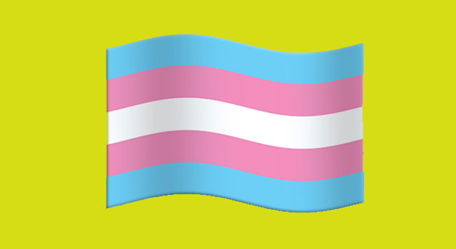 Senado acepta recomendación de CNDH para legislar en materia de derechos de población trans
