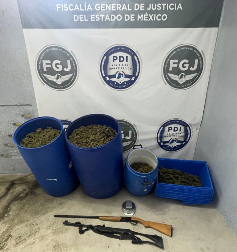 Tras realizar cateo, Fiscalía Edomex y Policía de Metepec decomisan 90 kg de marihuana
